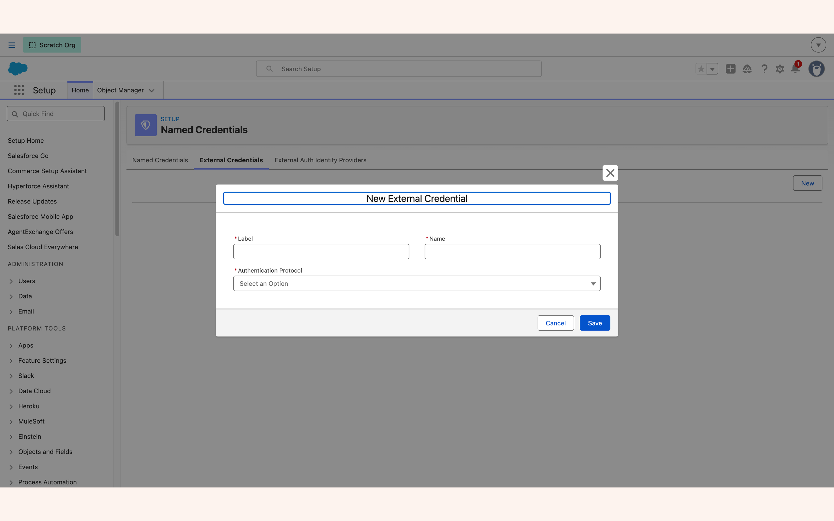 New External Credential form with label, name and authentication protocol