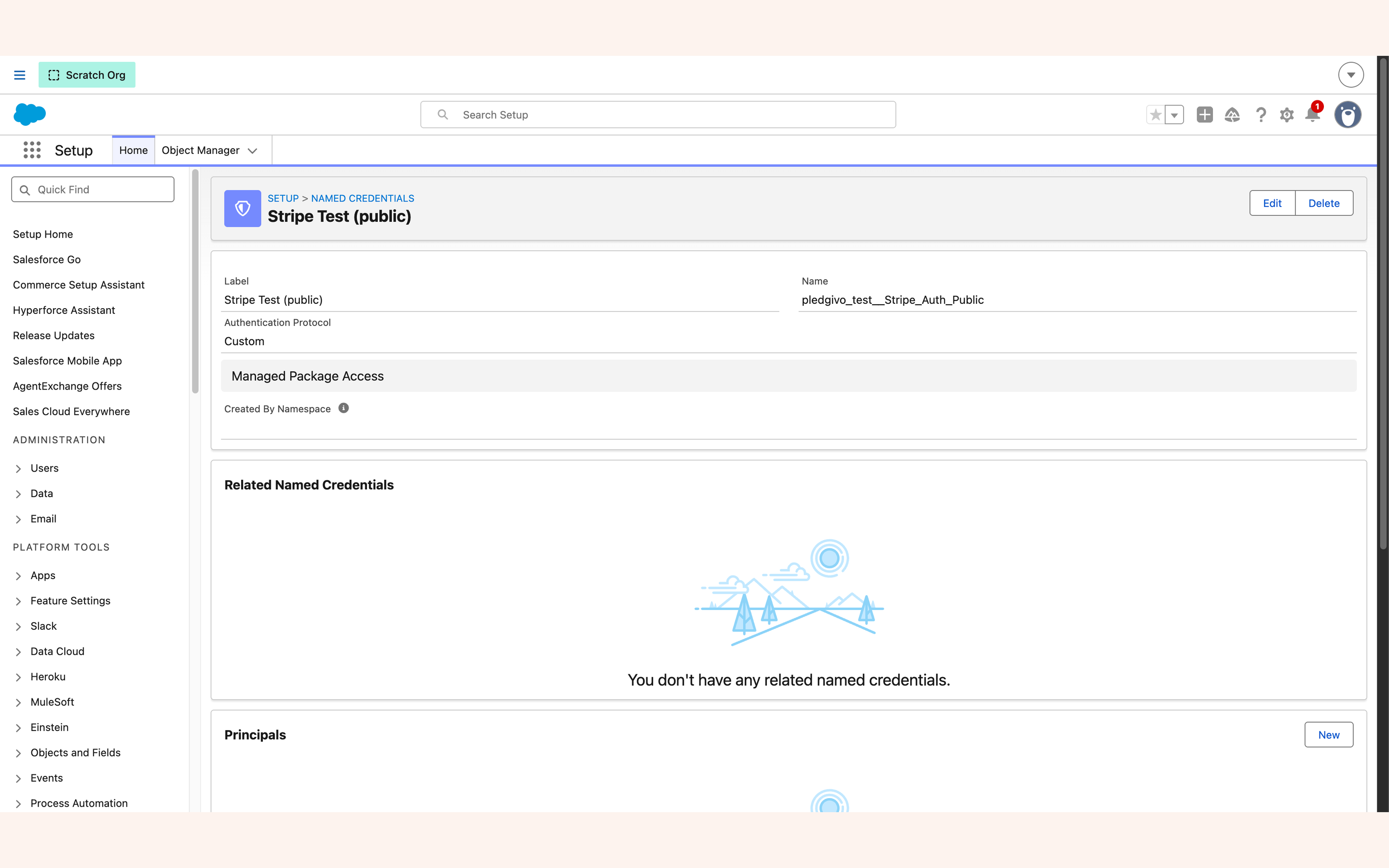 Saved external credential showing the Principals and Custom Headers related lists