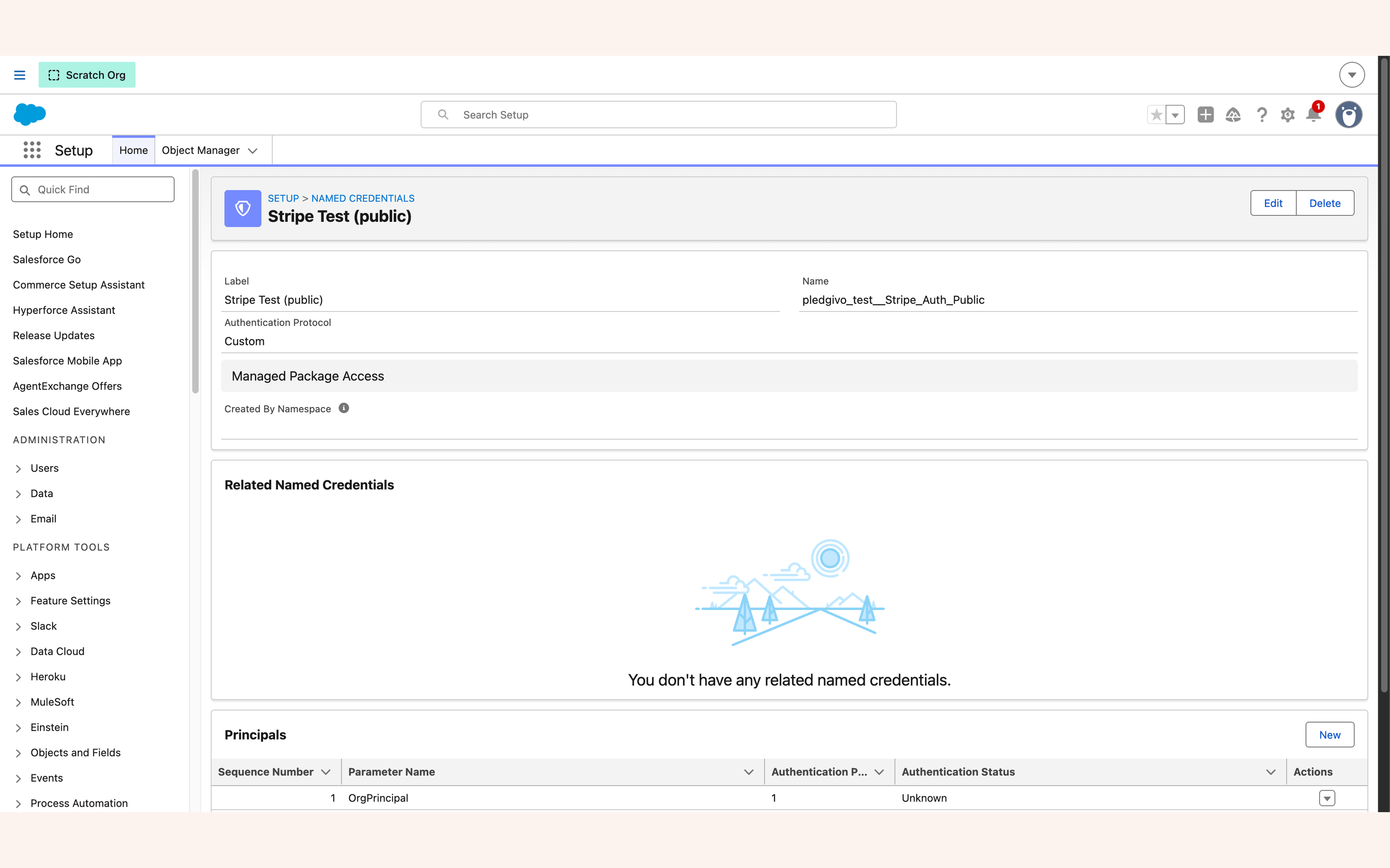 External credential showing its principal and an Authorization custom header