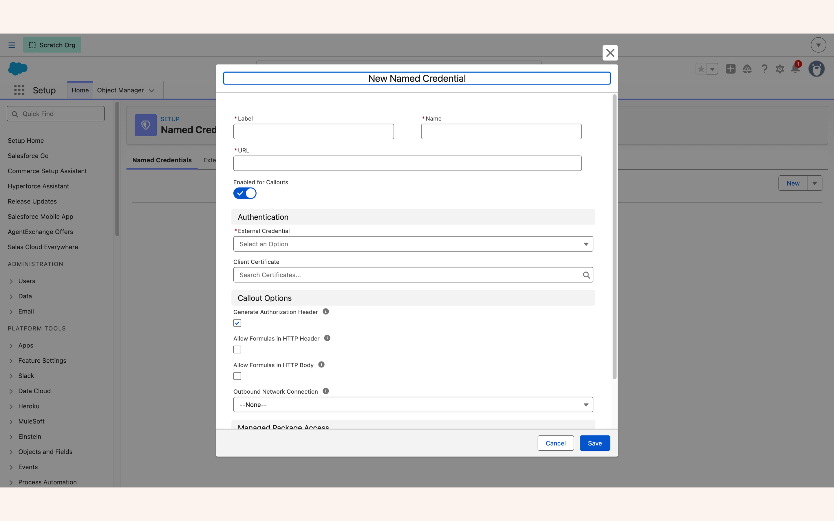 New Named Credential form with URL and callout options