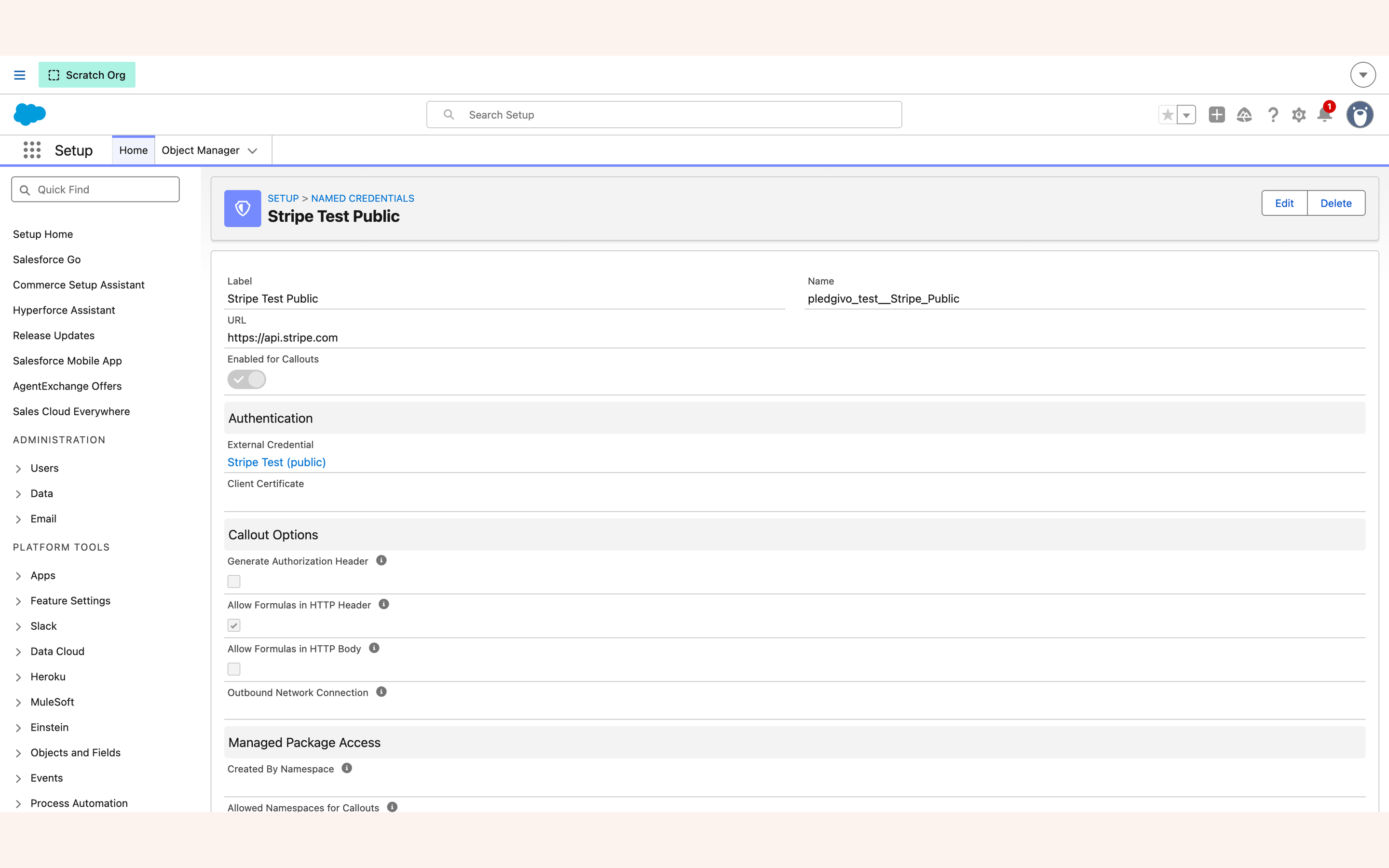 Named credential detail page showing the allowed namespaces field